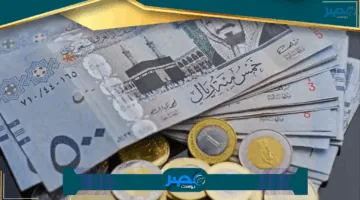 تعرف على سعر الريال السعودي أمام الجنيه المصري اليوم الجمعة 30 مايو 2025